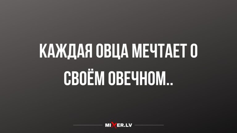 Юмор за день и овцы