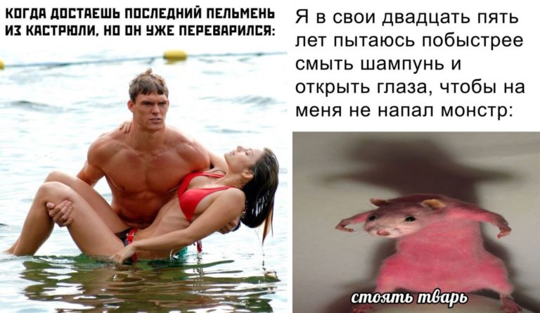 Прикольные картинки с надписями и последний пельмень