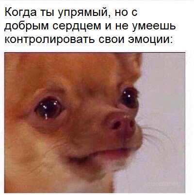 Топ-3 самых упрямых знака Зодиака, которые никогда не согласятся с этим списком
