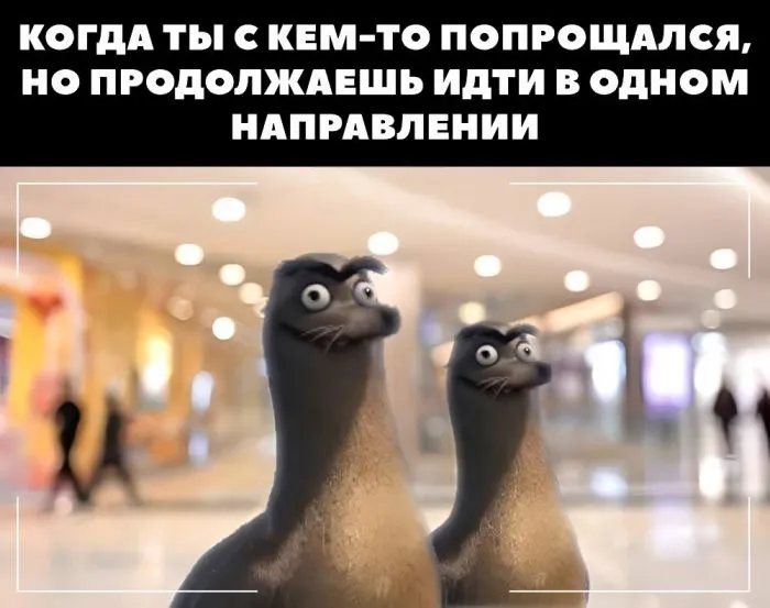 Эпичные фейлы в которые лучше не попадать: реальные истории из жизни