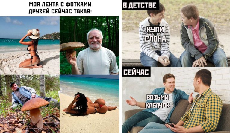 Прикольные картинки с надписями и сезон грибов