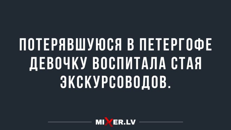 Юмор за день и стая экскурсоводов
