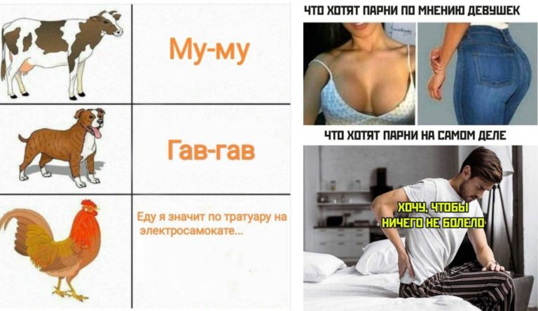 Прикольные картинки с надписями и электросамокат