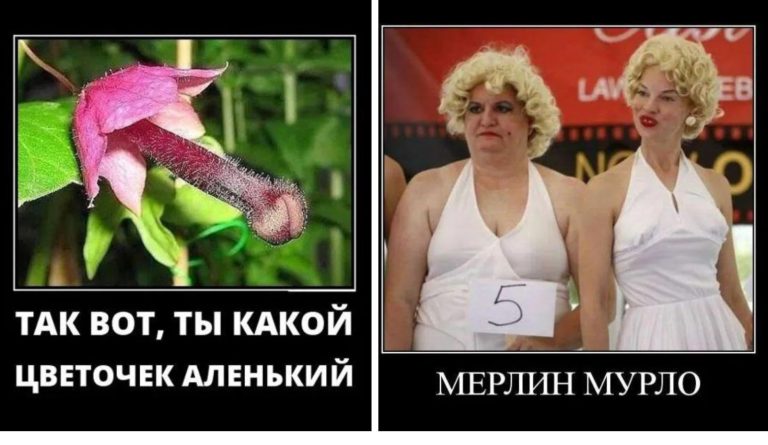 Новые демотиваторы и Мерлин Монро