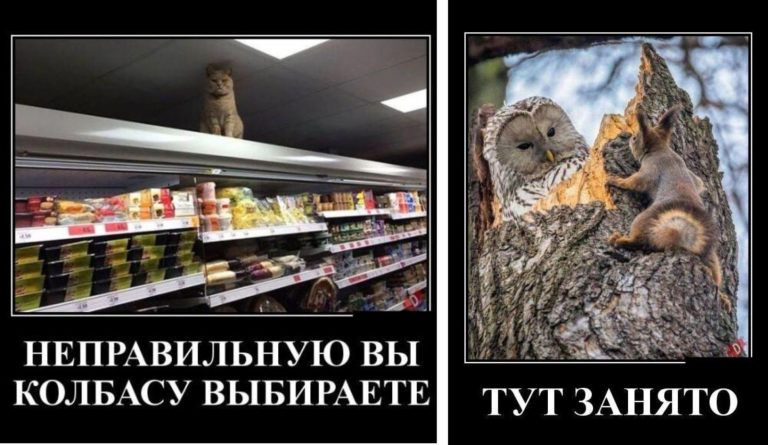Новые демотиваторы и вас тут не сидело