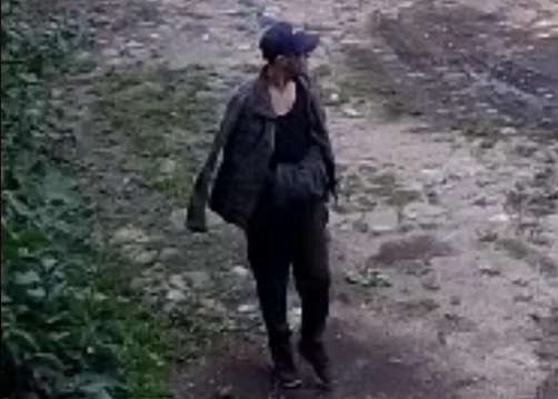 По факту побега Цесманиа возбуждено уголовное дело и начато ведомственное расследование. Сбежавший до сих пор не найден
