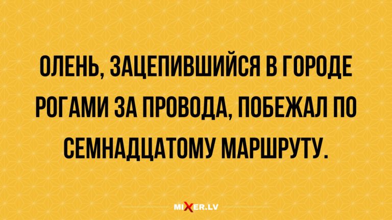 Юмор за день и рогатый олень