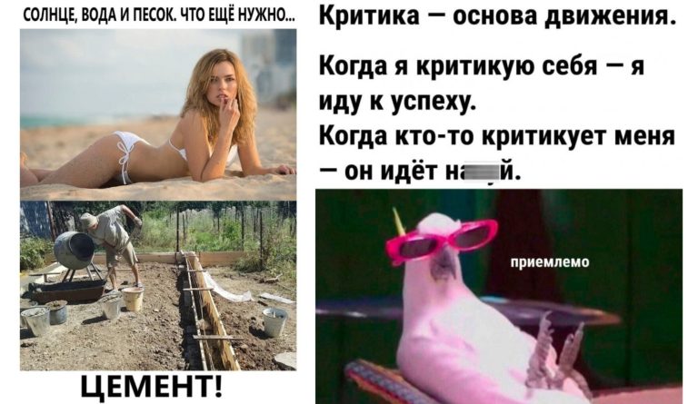 Прикольные картинки с надписями и основа жизни