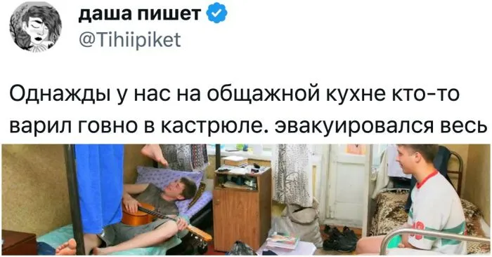 Когда мыши — это признак достатка: шутки и истории про общаги