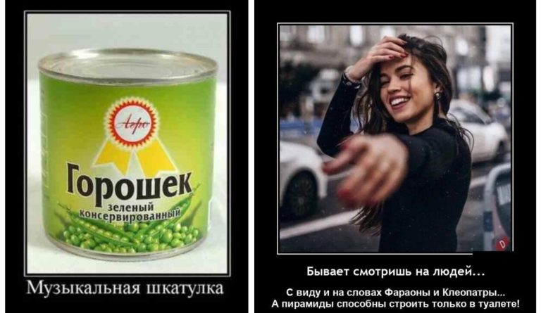 Новые демотиваторы и музыкальная шкатулка