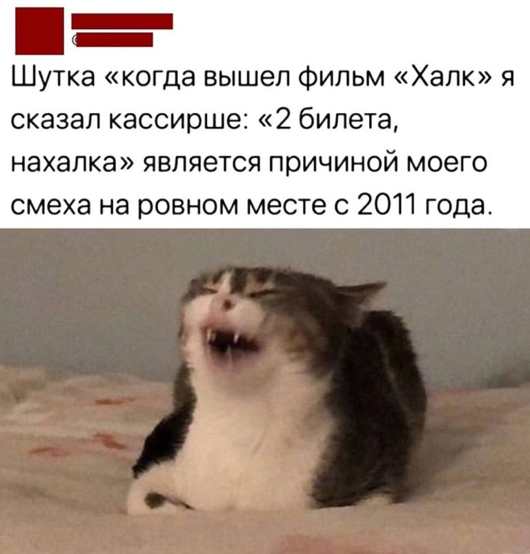 Юмор за день и клуб впечатлительных людей