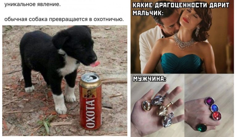 Прикольные картинки с надписями и превращение собаки