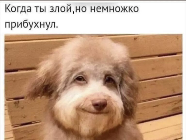 Юмор за день и гаспачо