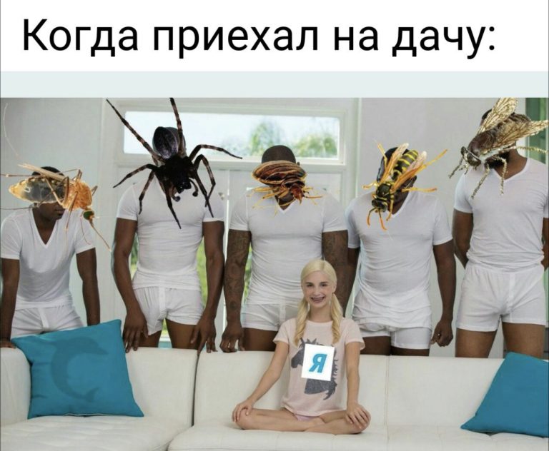 Юмор за день и понисын