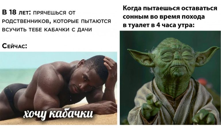 Прикольные картинки с надписями и кабачки