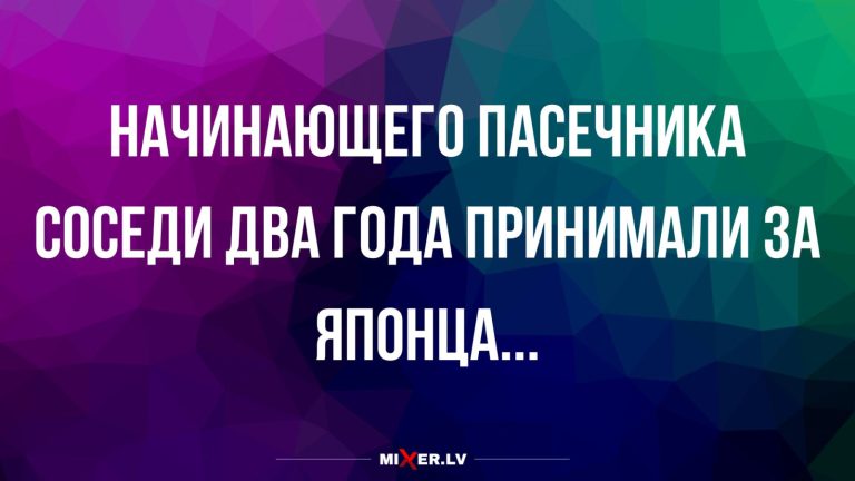 Юмор за день и начинающий пчеловод