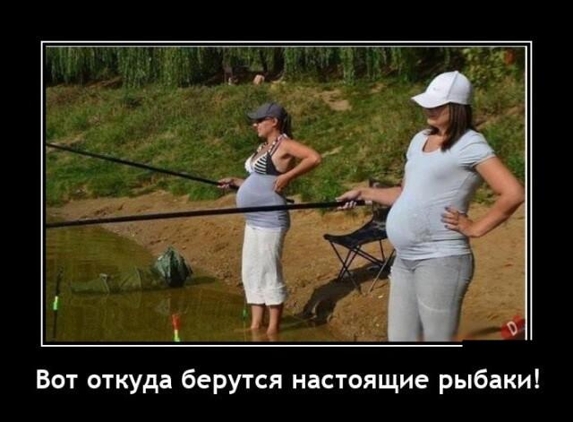 Новые демотиваторы и настоящие рыбаки