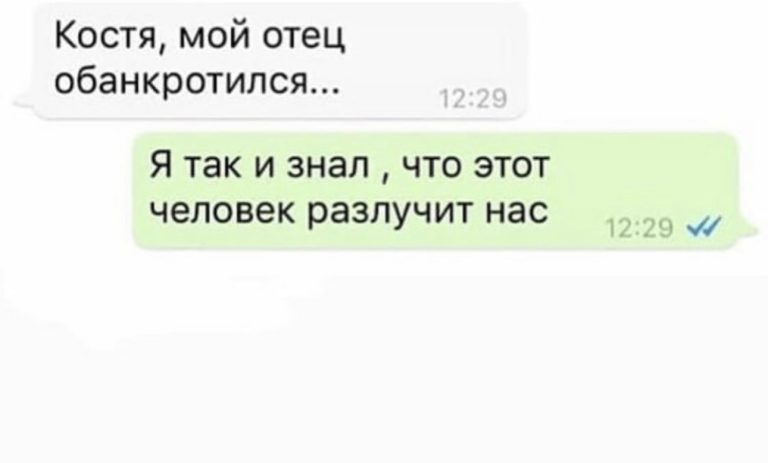 Юмор за день и большой кот