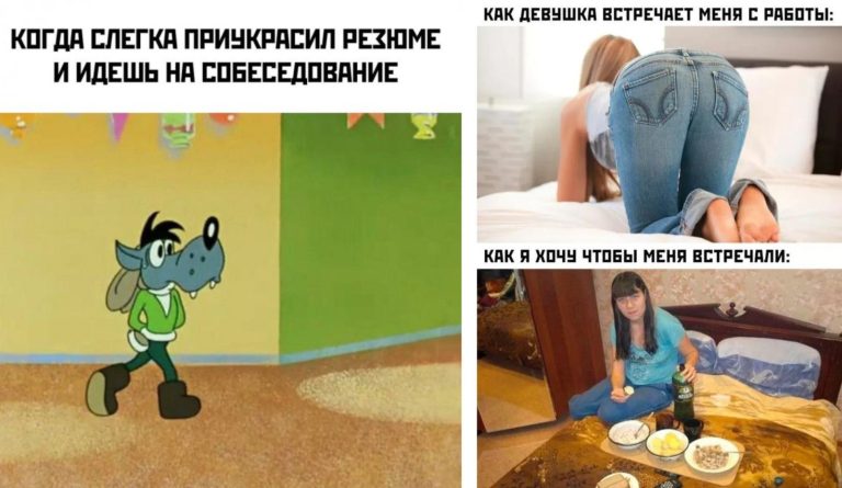 Прикольные картинки с надписями и поход на собеседование