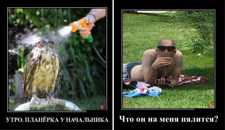 Новые демотиваторы и утро на планёрке