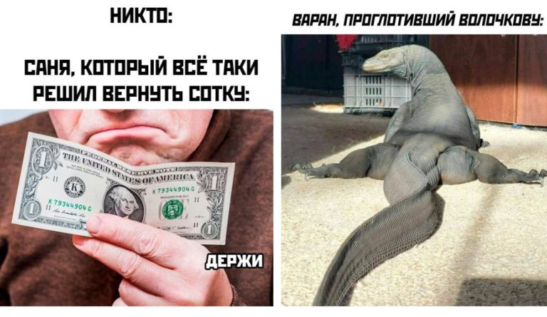 Прикольные картинки с надписями и варан проглотивший Волочкову