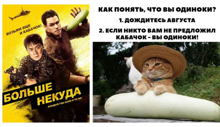 Приюти кабачек!!! Шутки и мемы про сезон кабачков