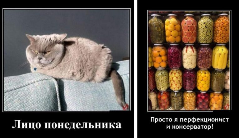Новые демотиваторы и заготовки на зиму