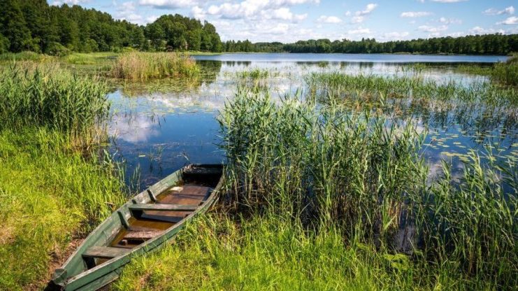 Самая теплая вода в Риге — в озере Бабелите