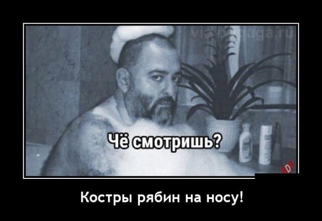 Новые демотиваторы и костры рябин