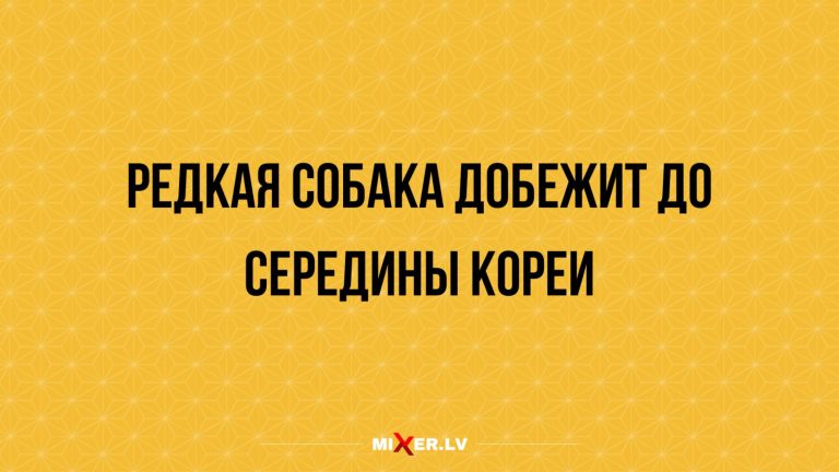 Юмор за день и Корея