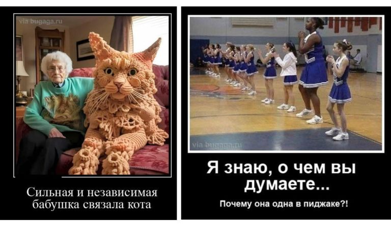 Новые демотиваторы и независимая бабушка