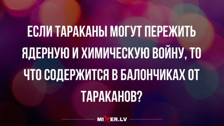 Юмор за день и живучие тараканы