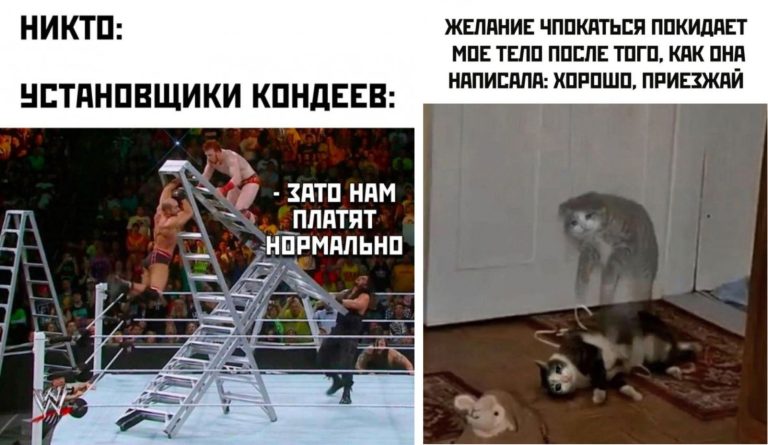 Прикольные картинки с надписями и установщики кондеев