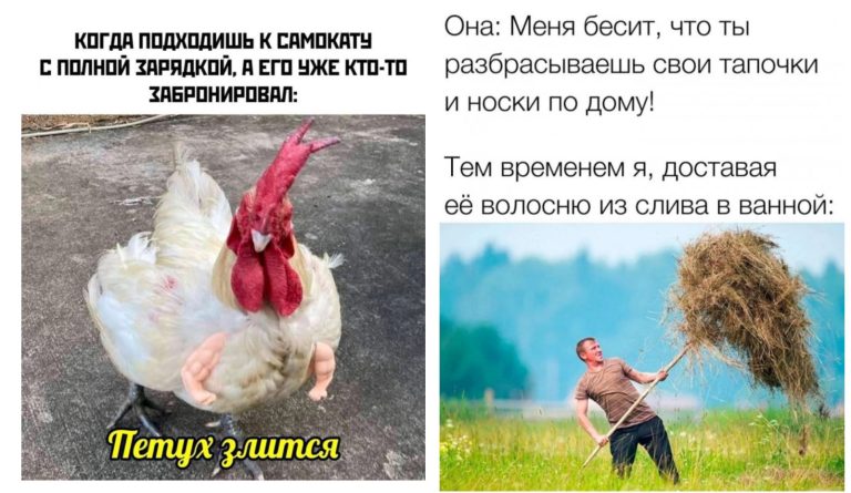 Прикольные картинки с надписями и злой петух