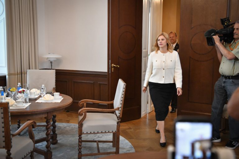 Новый премьер-министр Силиня начинает формировать правительство
