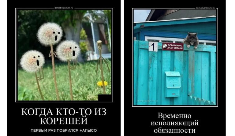 Новые демотиваторы и исполняющий обязанности