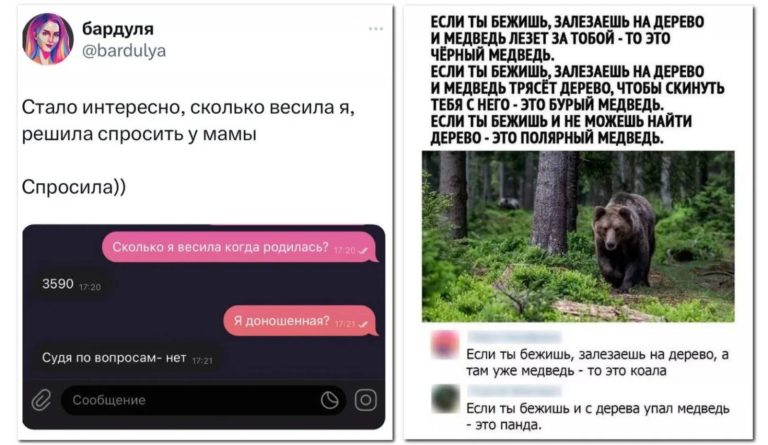 Забавные комментарии, которые как острый соус приправляют сам пост