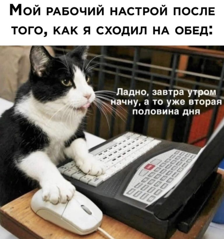 Картинки с надписями и проссекта