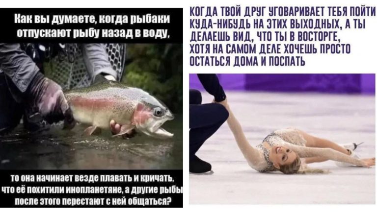 Прикольные картинки с надписями и отпускаем рыбу
