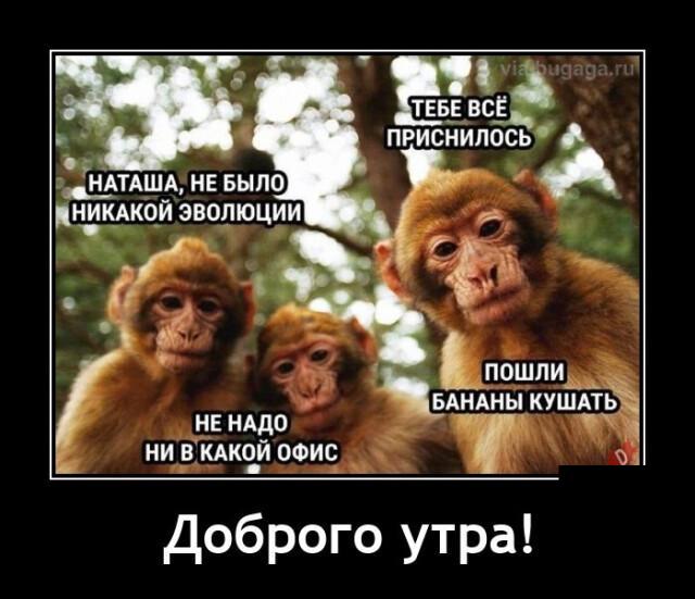 Новые демотиваторы и тебе все приснилось