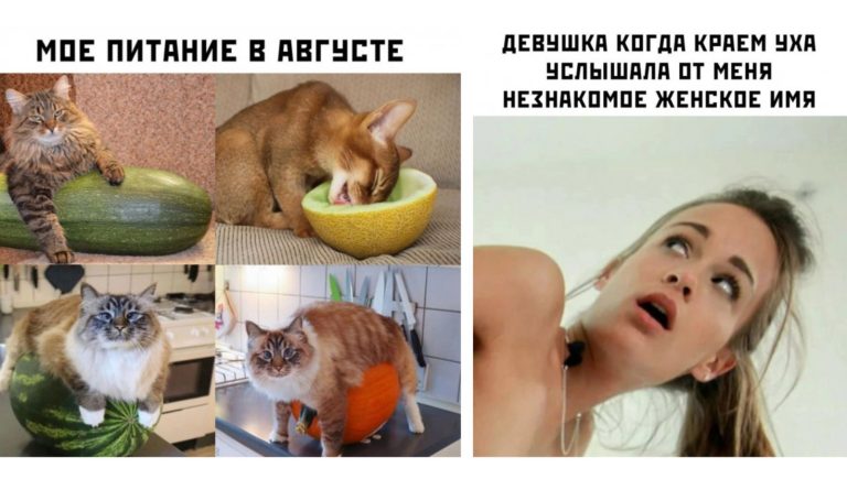 Прикольные картинки с надписями и питание в августе