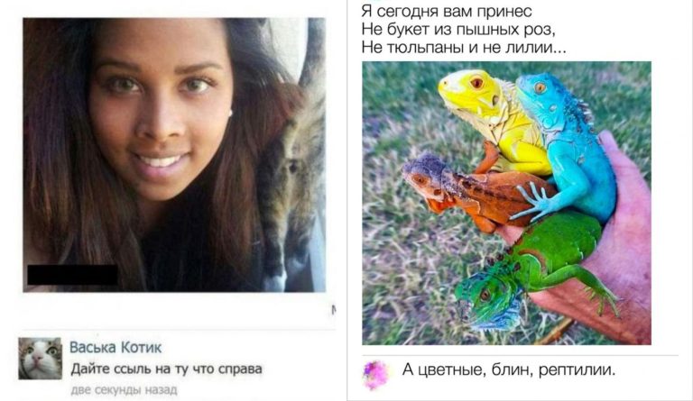 Забавные комментарии, которые как острый соус приправляют сам пост