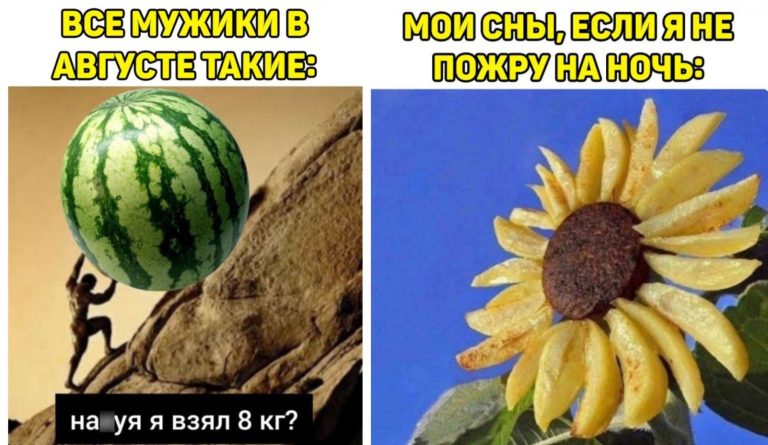 Прикольные картинки с надписями и 8 кг арбуза