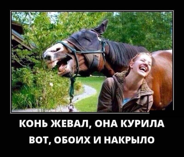Новые демотиваторы и обоих накрыло