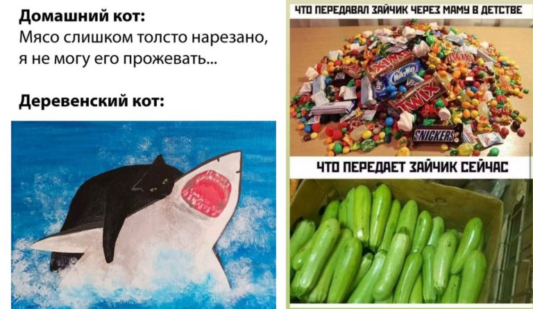 Прикольные картинки с надписями и деревенский кот