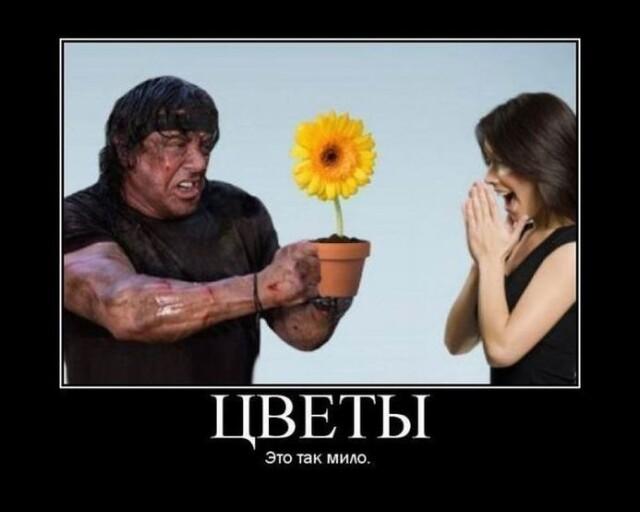 Новые демотиваторы и цветы от Рэмбо