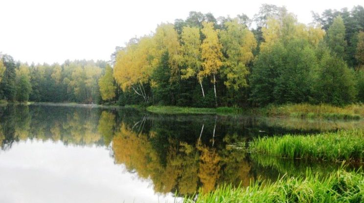 После бури температура воды в местах купания в Риге снизилась