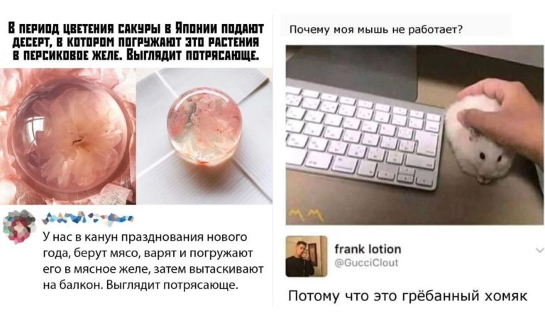 Забавные комментарии, которые как острый соус приправляют сам пост