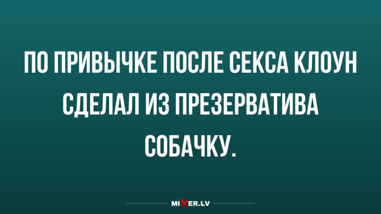 Юмор за день и собачка
