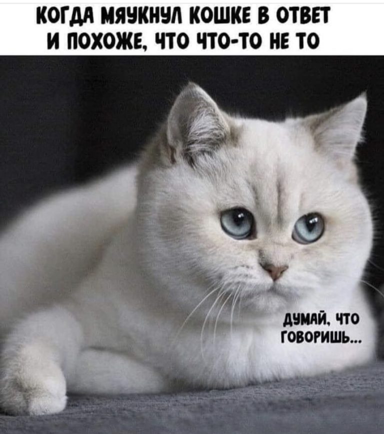Юмор за день и другой пакет